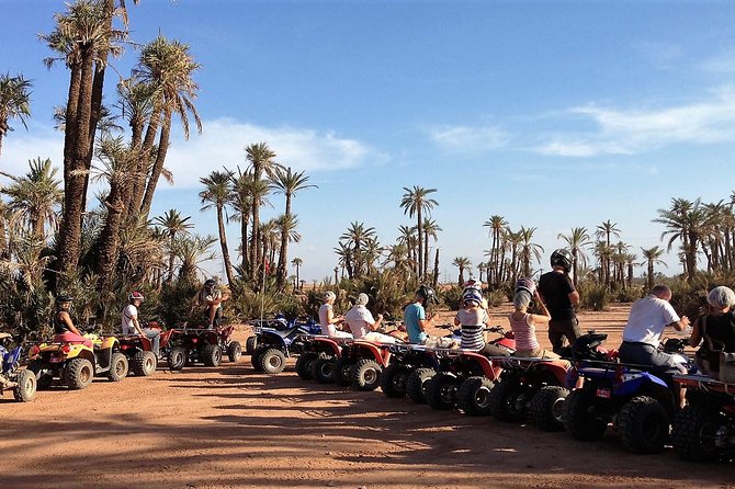 Half-Day Quad Biking In The Palm Grove Of Marrakech